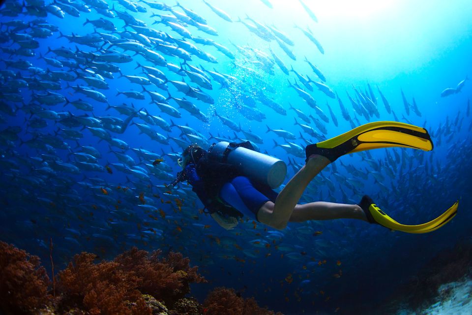 Ko Tao: Try Scuba Diving 1-Day Experience - The 9:30 AM Start: Gear Fit, Safety Briefing, and a Real Check-In