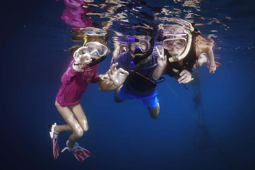 Koh Chang: Snorkeling Trip to Reefs or Wrecks with Lunch - What you’re actually doing in the water (and what you can control)