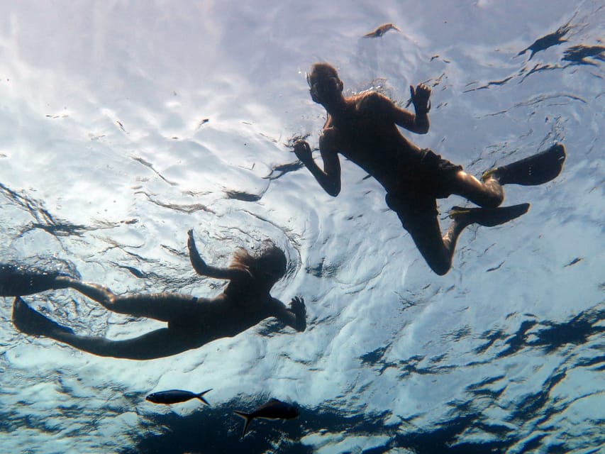 Koh Kood or Koh Rang: Snorkeling Day Trip with Buffet Lunch - Price and Logistics: Why $32 Can Make Sense