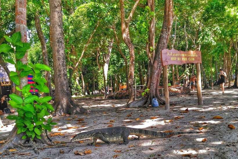 Koh Lanta: Adventure Sea Tour to Koh Rok and Koh Haa - The beach and lunch break: Ao Man Sai time is real downtime