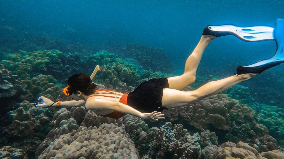 Koh Lipe: Longtail Boat Snorkeling Trip with Lunch - Key points before you go