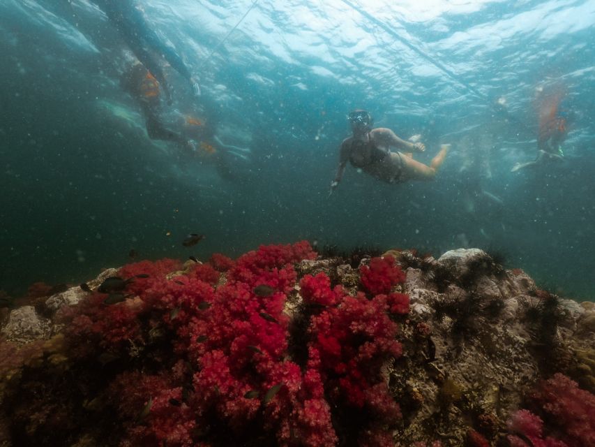 Koh Lipe: Longtail Boat Snorkeling Trip with Lunch - The 6-hour flow: how the day moves island to island