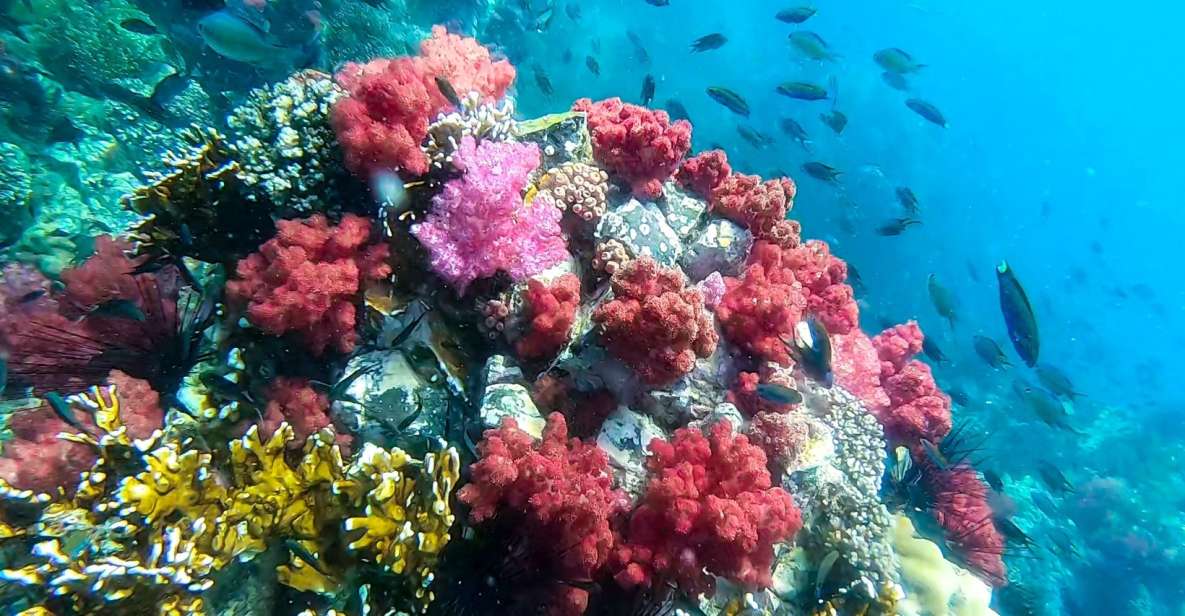 Koh Lipe: Longtail Boat Snorkeling Trip with Lunch - Rawi Island lunch on white sand and a true breather
