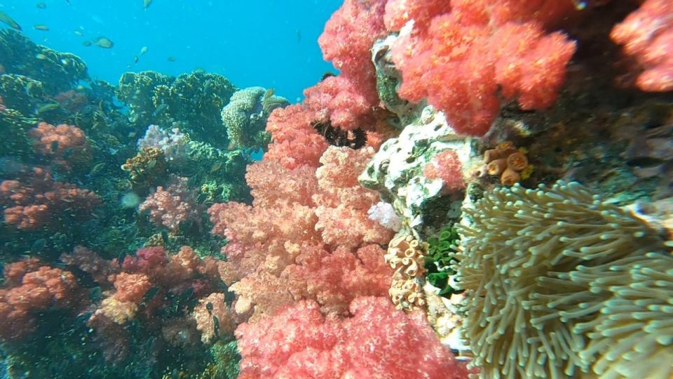 Koh Lipe: Longtail Boat Snorkeling Trip with Lunch - Getting to the meeting point and the Koh Lipe park checkpoint