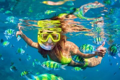 Koh Pha Ngan: Koh Tao & Nang Yuan Tour with Snorkel, Lunch - Pickup, Check-In, and the Morning Rhythm at Thong Sala Pier