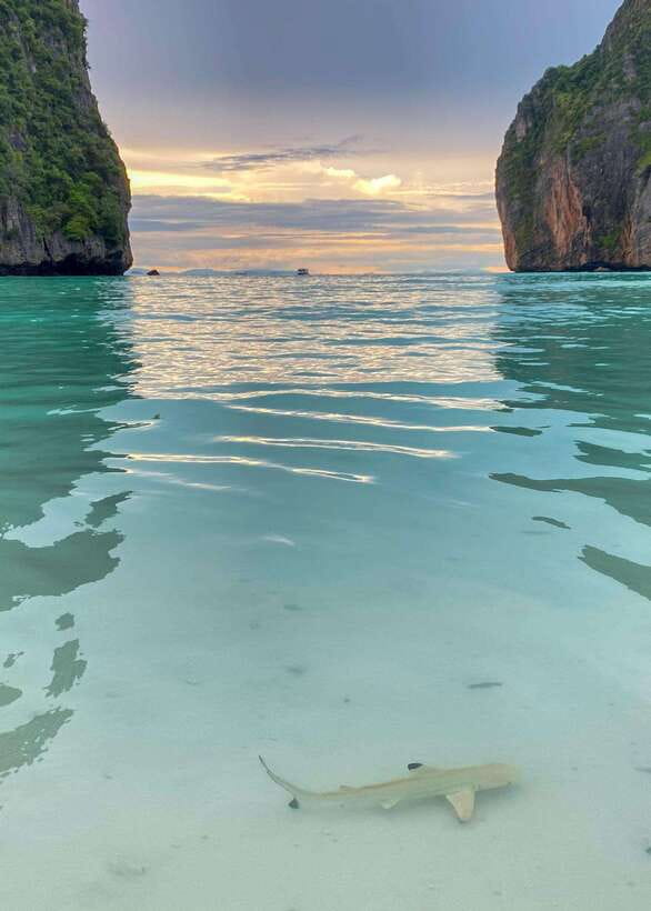 Koh Phi Phi: Maya Bay Private Longtail Boat Tour - Loh Samah Bay Pass-By: Scenic Without the Time Pressure