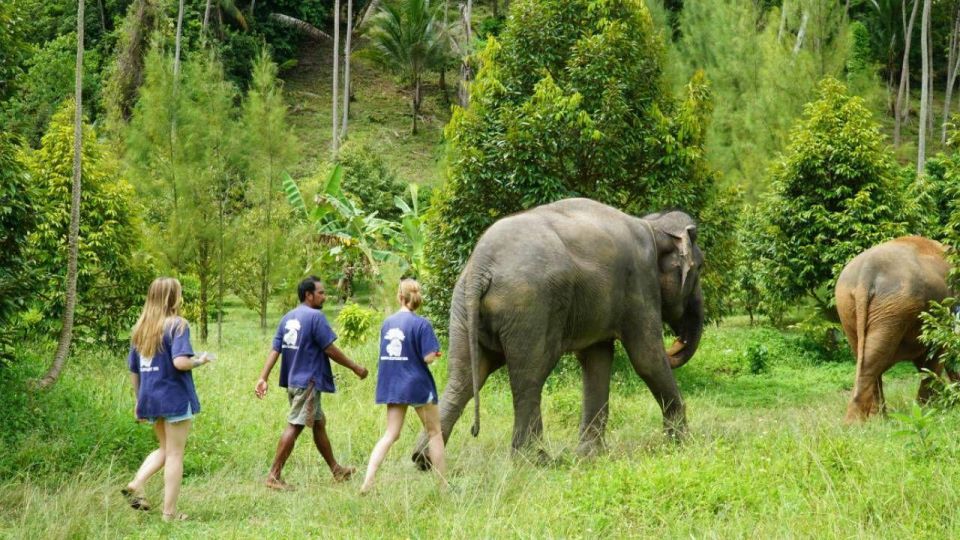 Koh Samui: 4x4 Sightseeing Safari & Elephant Sanctuary Tour - Why this Koh Samui 4x4 safari feels like a full island day