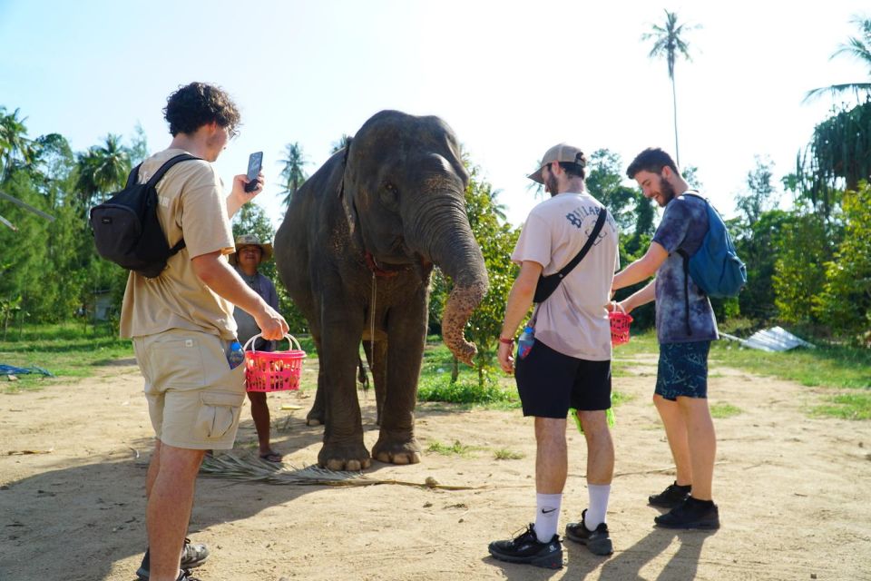Koh Samui: 4x4 Sightseeing Safari & Elephant Sanctuary Tour - Getting picked up in the morning: how to plan your timing