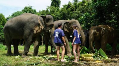 Koh Samui: 4x4 Sightseeing Safari & Elephant Sanctuary Tour - The first mountain views: where the safari changes the day