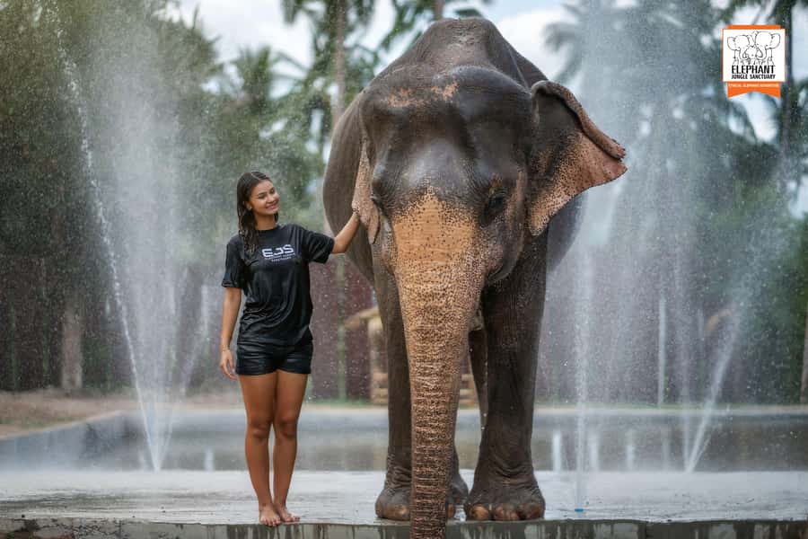 Koh Samui: Elephant Jungle Sanctuary Half-Day Tour - Feeding, bathing, and swimming: what you’re really buying