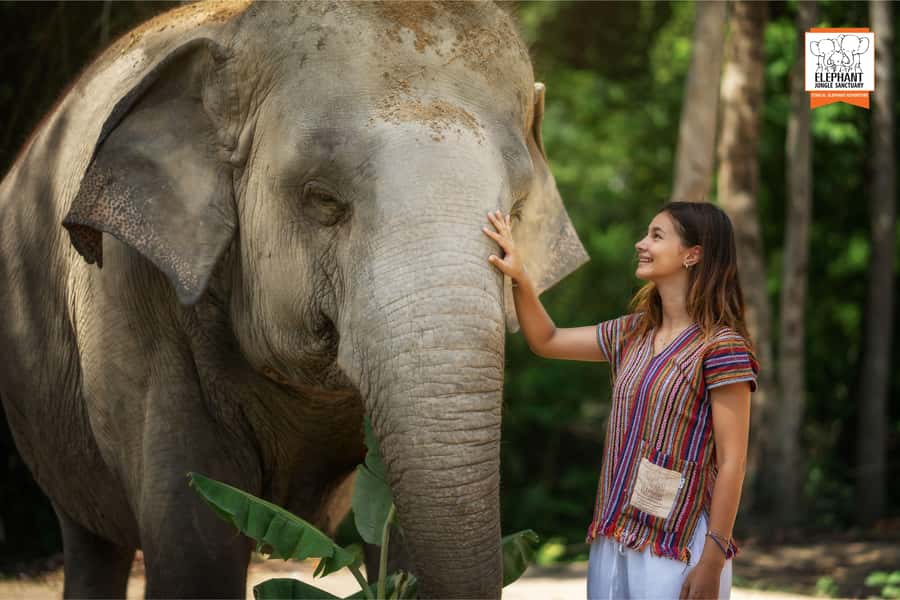 Koh Samui: Elephant Jungle Sanctuary Half-Day Tour - What to bring so the day feels easy