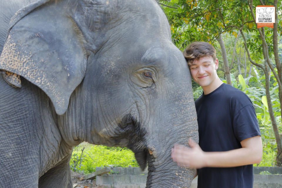 Koh Samui: Elephant Jungle Sanctuary Half-Day Tour - Common questions before booking