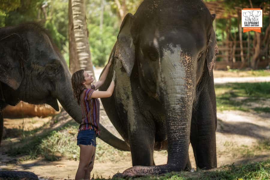 Koh Samui: Elephant Jungle Sanctuary Half-Day Tour - The 3-hour rhythm: welcome, jungle time, lagoon swim, Thai lunch