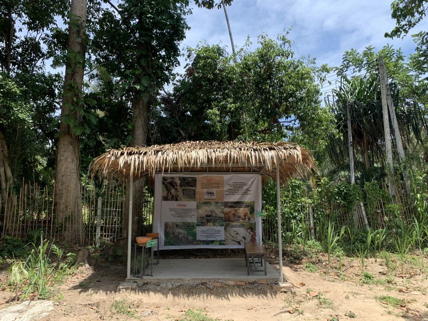 Koh Samui: Ethical Elephant Sanctuary Tour with Buffet Lunch - Watching elephants in the water: fun to see, muddy to plan for