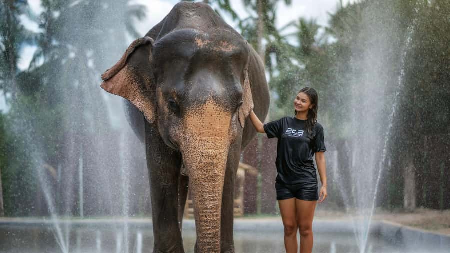 Koh Samui: Feed & Shower with Elephants Experience - Elephant feeding and shower at Mae Nam: what you’re really signing up for