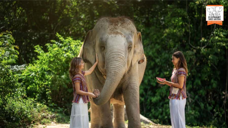 Koh Samui: Feed & Shower with Elephants Experience - Thai snack and the photos: the small extras that add up
