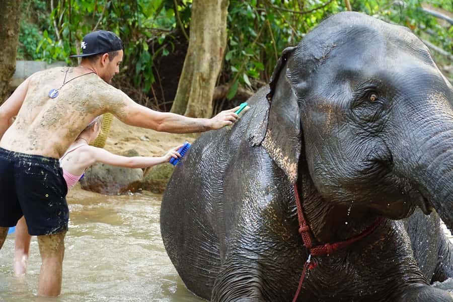 Koh Samui: Half-Day Ethical Elephant Sanctuary with Mud Spa - What to Pack: Stay Comfortable During Mud, Sun, and Jungle Time