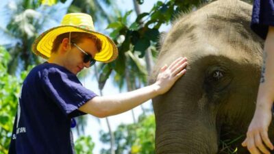 Koh Samui: Half-Day Ethical Elephant Sanctuary with Mud Spa - Check-In and Getting There: Meeting Point vs Optional Pickup