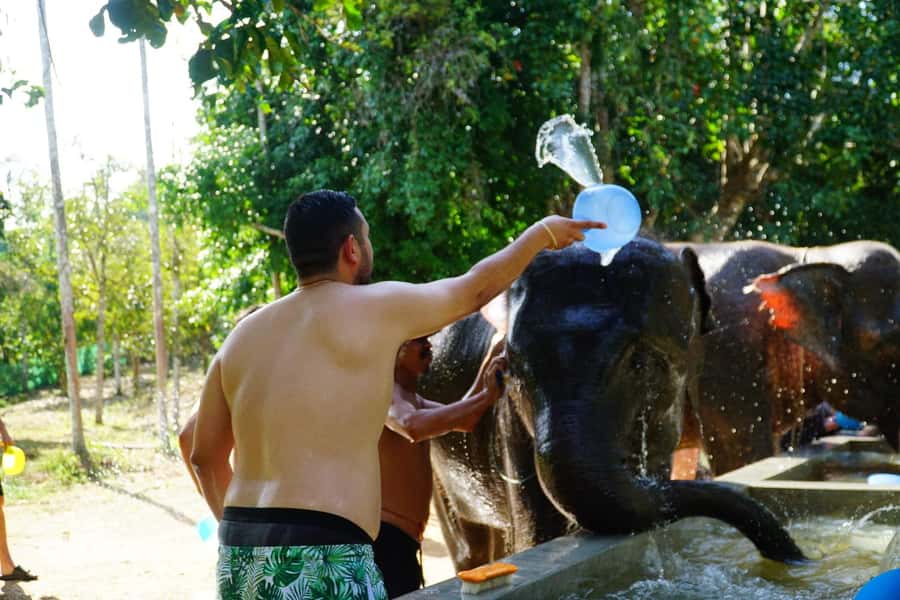 Koh Samui: Half-Day Ethical Elephant Sanctuary with Mud Spa - Thai Cooking Class and Lunch: Noodle Soup You’ll Want to Recreate