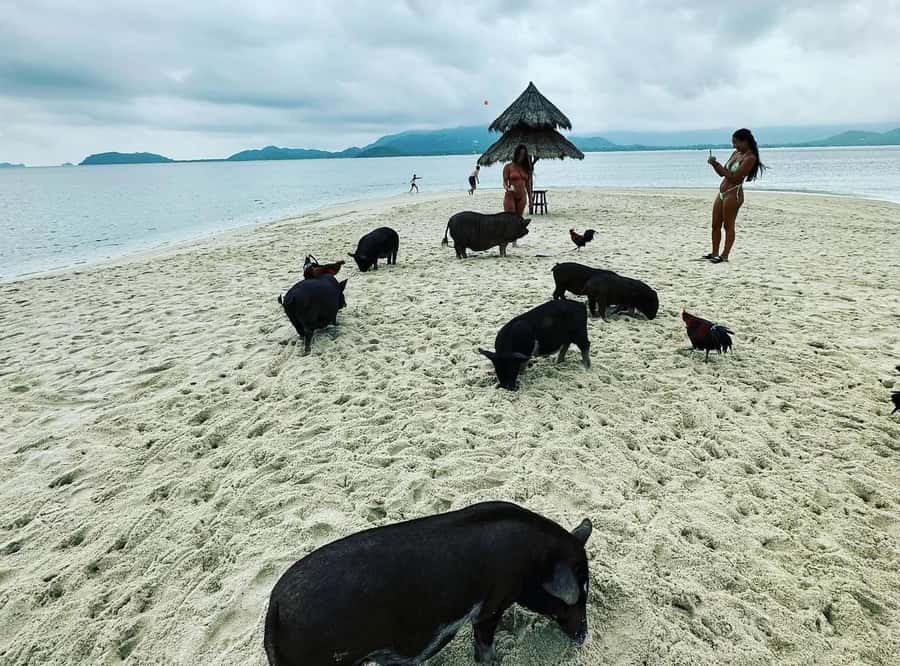 Koh Samui: Jetski Safari, Snorkeling to Pig & Virgin Islands - Jet Ski Comfort and Storage: Don’t Underpack