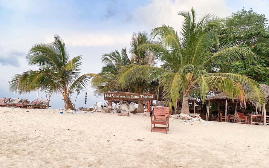 Koh Samui: Koh Tan and Koh Madsum Half-Day Tour by Catamaran - What to bring for Koh Tan + Koh Madsum (so you don’t waste time)