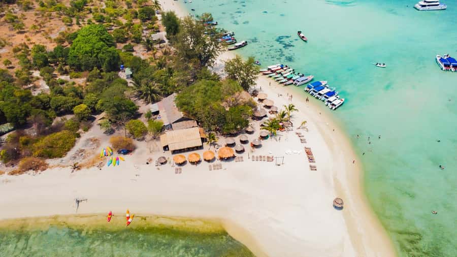 Koh Samui: Pig Island & Koh Tan Speedboat Tour with Lunch - Who this tour is best for