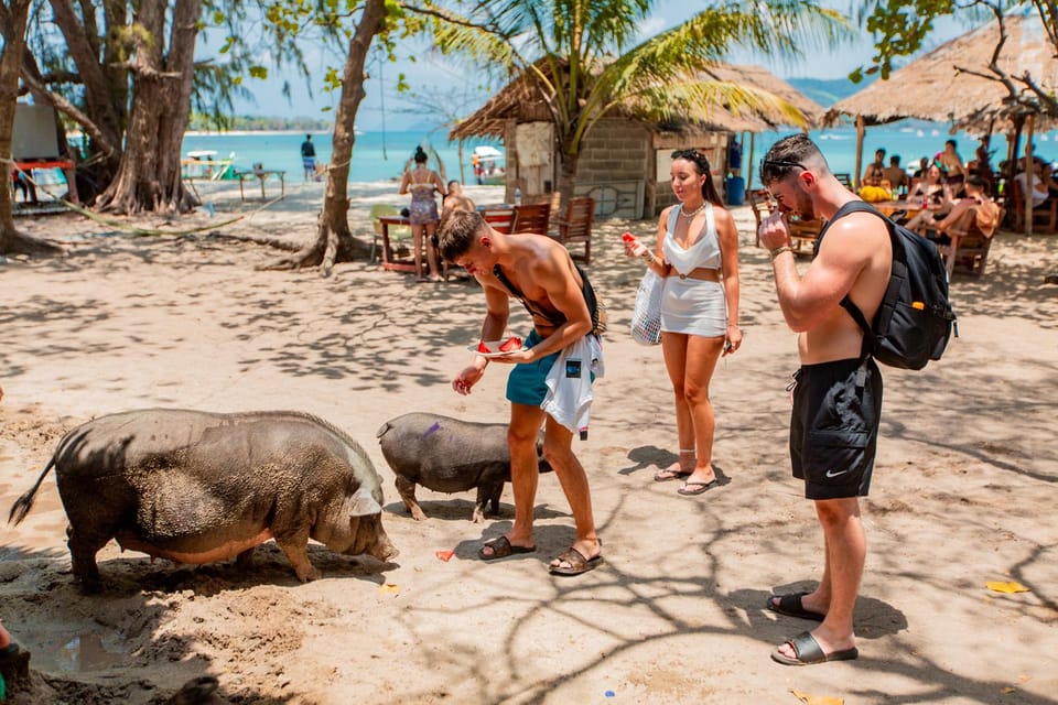 Koh Samui: Pig Island & Koh Tan Speedboat Tour with Lunch - What you get, what costs extra, and what to pack