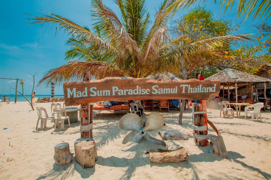 Koh Samui: Pig Island & Koh Tan Speedboat Tour with Lunch - Safety and suitability: who should be cautious