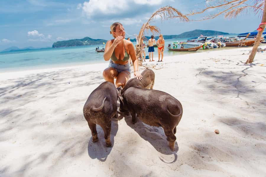 Koh Samui: Pig Island Private Longtail Boat Tour - A Private Longtail Boat Day: Pig Island and Koh Taen Together