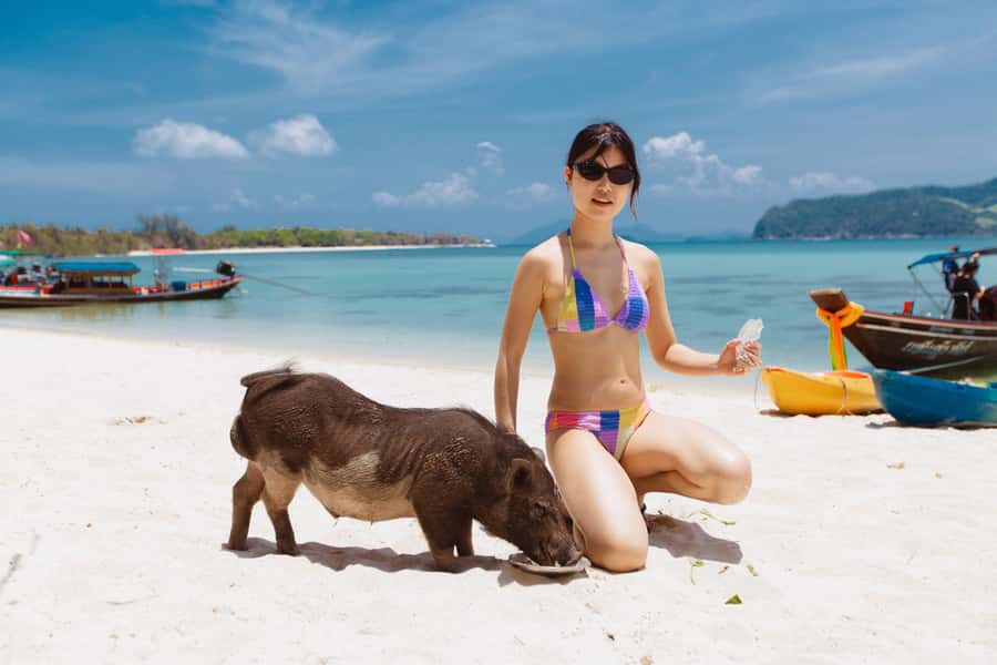 Koh Samui: Pig Island Private Longtail Boat Tour - The short boat ride to Koh Madsum: your first taste of island time