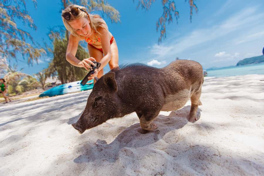 Koh Samui: Pig Island Private Longtail Boat Tour - Koh Madsum Pig Island: Beaches, swimming pigs, and easy beach fun