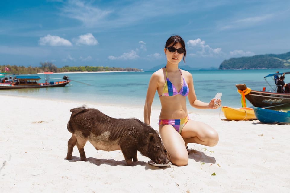 Koh Samui: Pig Island Private Longtail Boat Tour - Price and value: what $107 gets you for a private group