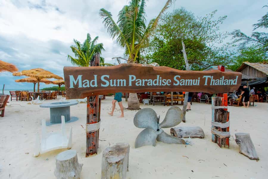 Koh Samui: Pink Dolphin Spotting & Pig Island Speedboat Tour - Key Things You’ll Notice on This Koh Samui Speedboat Day