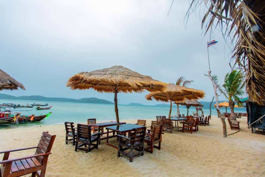 Koh Samui: Pink Dolphin Spotting & Pig Island Speedboat Tour - Pig Island: The Wild Boars Part (and Why It’s So Popular)