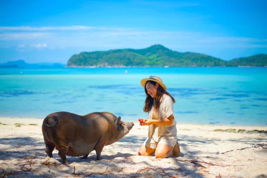 Koh Samui: Private Longtail Boat to Pig Island with Snorkel - Koh Tan first: snorkeling when the sea conditions cooperate