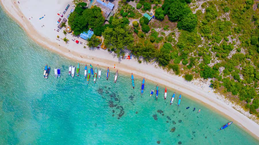 Koh Samui: Private Longtail Boat to Pig Island with Snorkel - Koh Madsum (Pig Island): beach time with friendly pigs and calm water