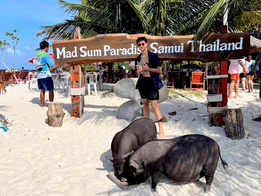 Koh Samui: Private Longtail Boat to Pig Island with Snorkel - Who should book this, and who should skip it