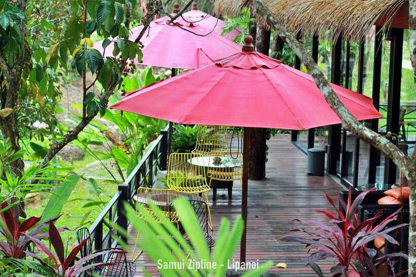 Koh Samui: Samui Zipline Adventure with Transfer service - Who This Zipline Adventure Suits Best on Koh Samui