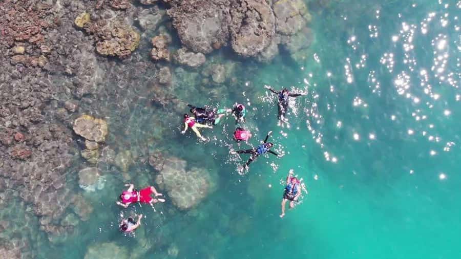 Koh Samui: Sunset Pig Island and Snorkeling Koh Tan w/Dinner - What You’re Really Getting for Around $48