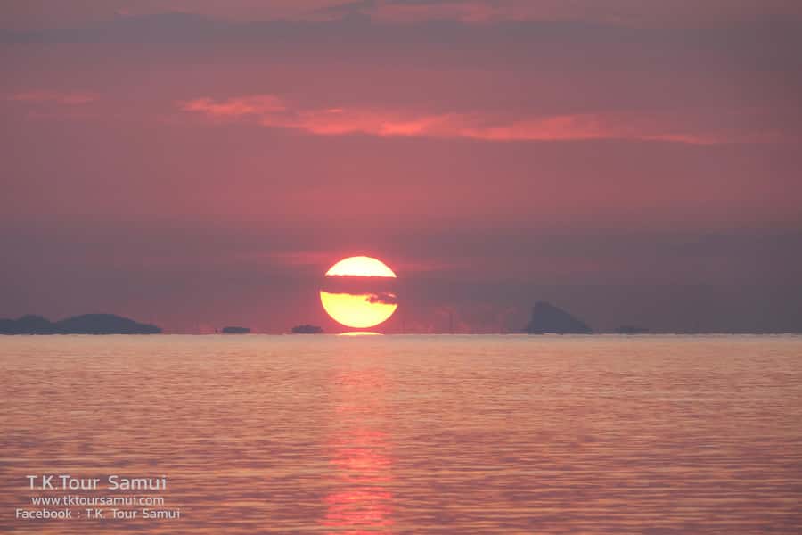 Koh Samui: Sunset Pig Island and Snorkeling Koh Tan w/Dinner - T.K. Restaurant Thai Dinner: A Solid Finish After Salt Water