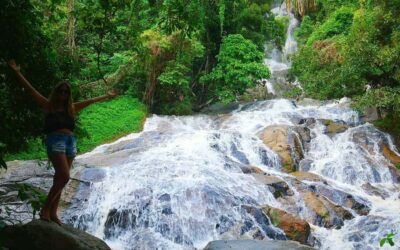 Koh Samui: Travstore Original Koh Samui Discovery Tour - Pickup, van ride comfort, and how to stay on schedule