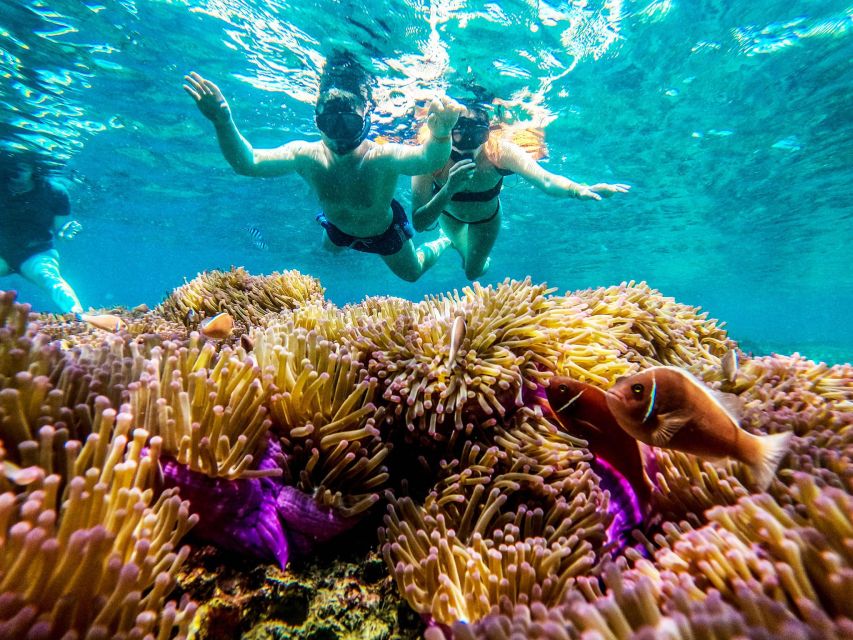 Koh Tao: Koh Nangyuan and the Hidden Bays Trip by the Oxygen - Who should book this Oxygen Koh Nangyuan tour
