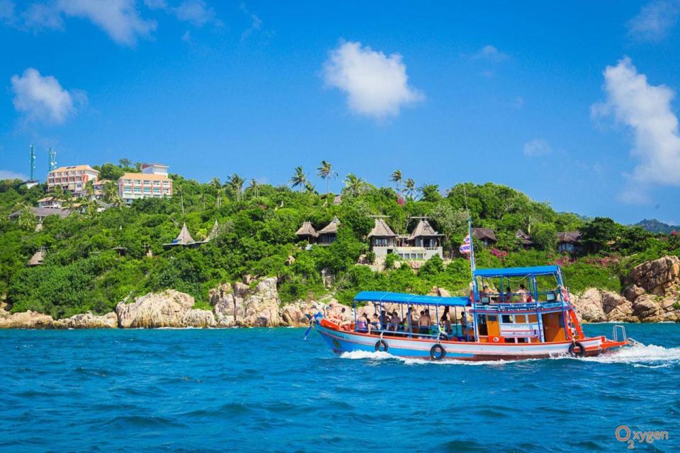 Koh Tao: Koh Nangyuan and the Hidden Bays Trip by the Oxygen - What you’re likely to see: turtles, baby sharks, and fish schools