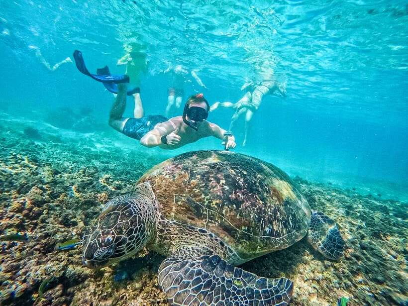 Koh Tao: Koh Nangyuan & Hidden Bays Snorkeling Tour w/ Lunch - Getting to the boat: pickup timing and what you pack