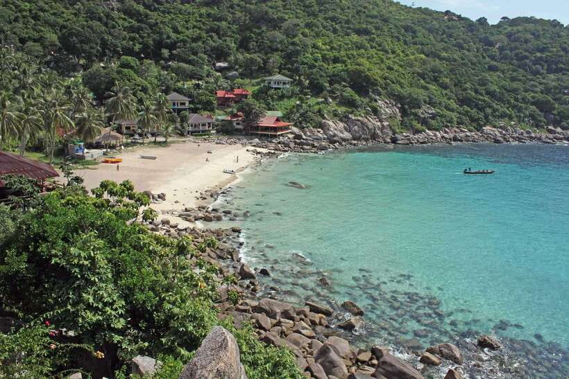 Koh Tao: Premium Snorkel Tour to Koh Nangyuan Bays by Oxygen - Shark Bay: Fine Sand, Coconut Shade, and Shark Possibilities