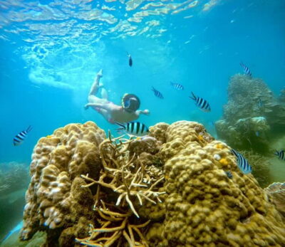 Koh Tao: Snorkeling Trip to Nang Yuan Island & Hidden Bays - Ko Nang Yuan and the beach walk: what you do above water