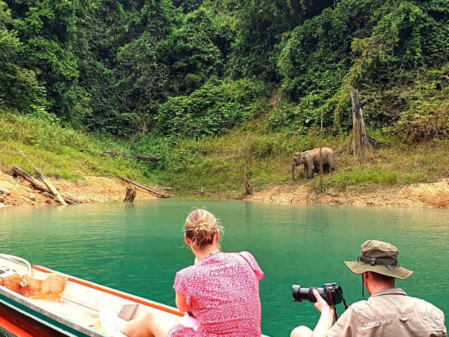 Krabi: Cheow Lan Lake, Diamond Cave, Hiking, All Included - Long-tail boat cruising on the lake: the part you’ll remember