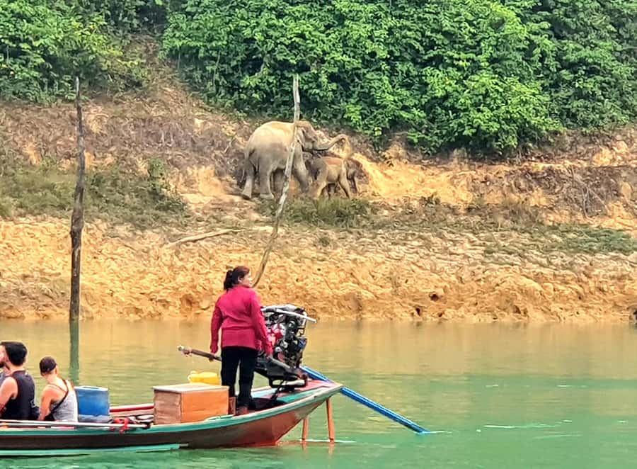 Krabi: Cheow Lan Lake, Diamond Cave, Hiking, All Included - PhuTawan Rafthouse lunch: the best kind of break on the water