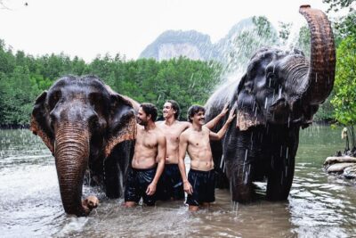 Krabi: Elephant Bathing Session at Krabi Elephant Shelter - Getting to the shelter: pickup timing and where you’ll meet