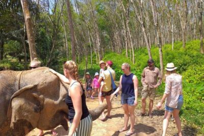 Krabi: Elephant Care House Guided Tour with Hotel Transfers - Getting There: Hotel Transfers From Ao Nang, Krabi Town, Railay, and More